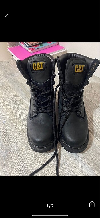 Cat bot orjinal