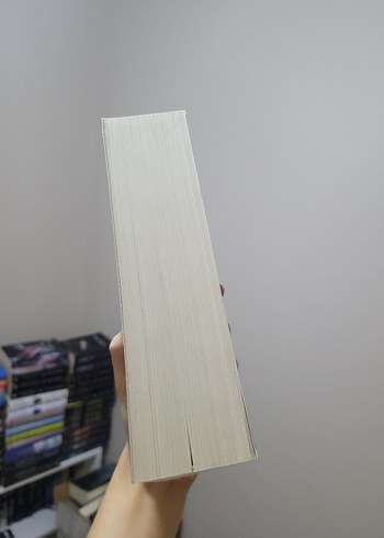  Beden Dördüncü kanat 4. Kanat