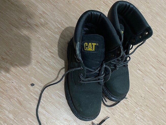 36 Beden Cat bot