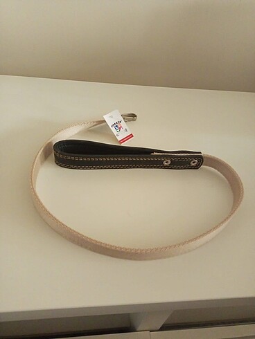 Köpek gezdirme tasması