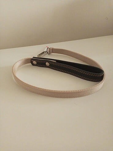  Köpek gezdirme tasması