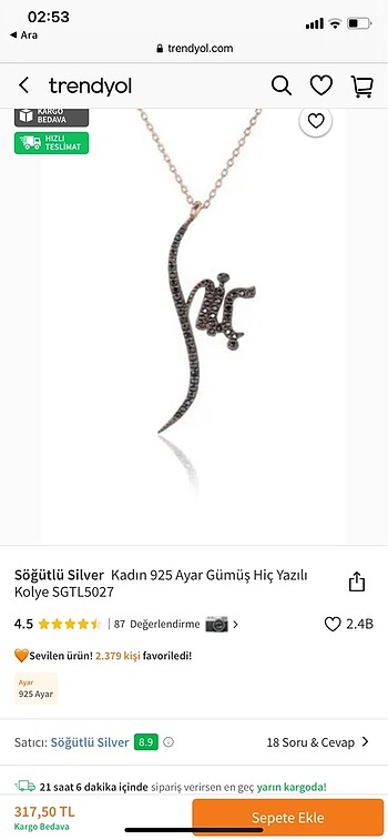 Diğer Hiç kolye gümüş 925 ayar söğütlü silver