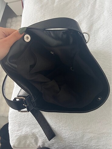 Stradivarius stradivarius canta