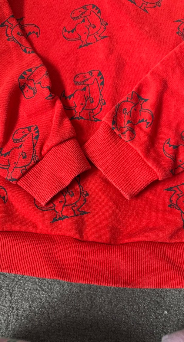 Kırmızı Baskılı Erkek Çocuk Sweatshirt - Görsel 3