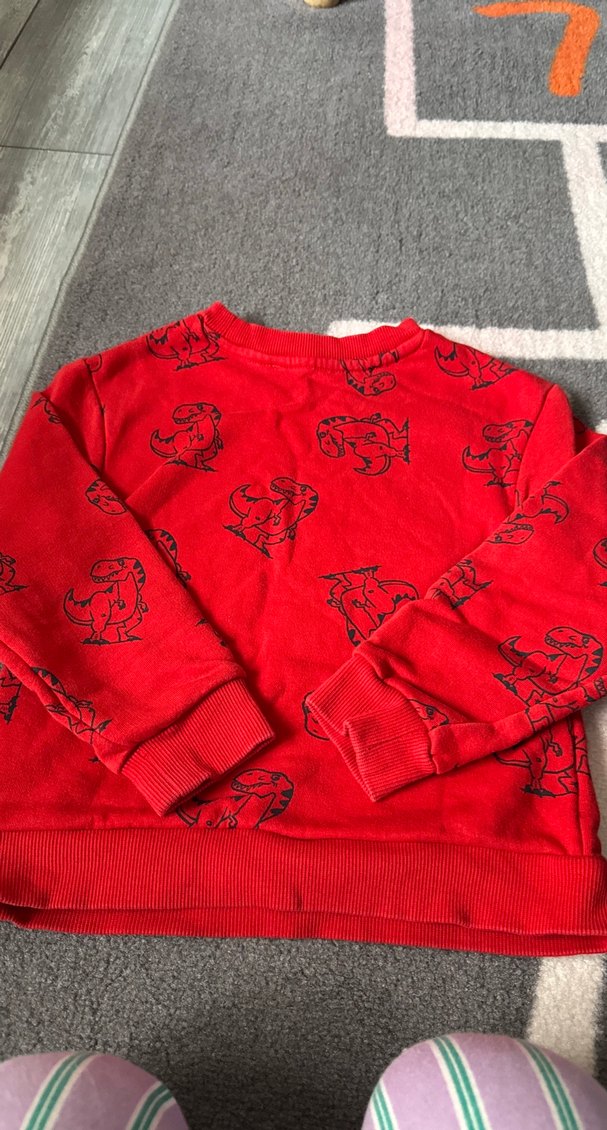 Kırmızı Baskılı Erkek Çocuk Sweatshirt - Görsel 4
