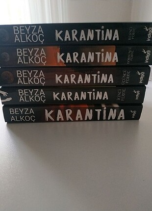 Karantina serisi