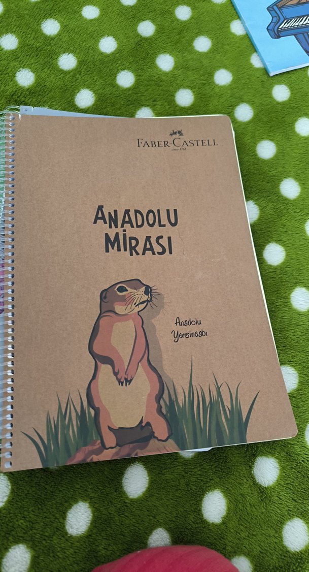 defter 11 parca - Görsel 2