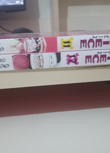 One piece manga