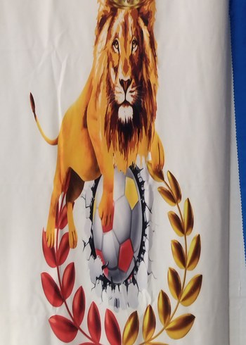 Galatasaray Altın Renk Fon perde - Görsel 2