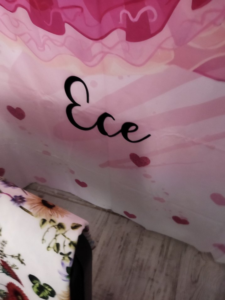 Pembe Bebek ve Köpek Temalı Büyük Tek Kanat Fon Perde - Görsel 2