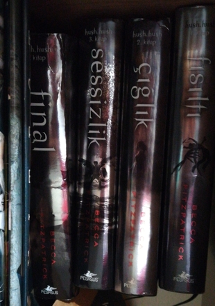 hush hush serisi