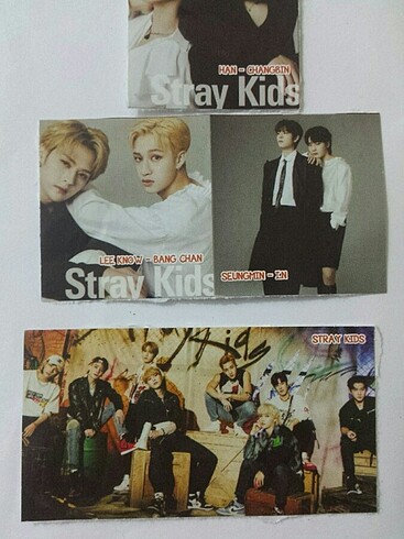  Stray Kids sticker