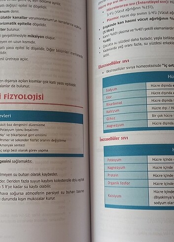  Beden Tusdata fizyoloji textbook