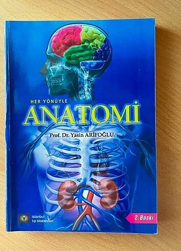 Anatomi 