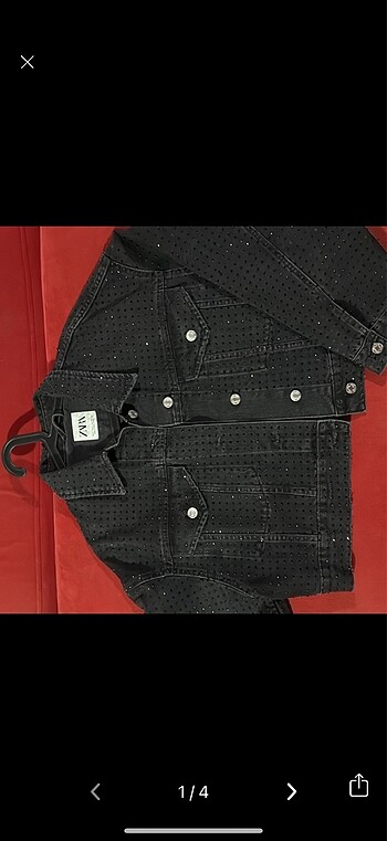 Zara ceket