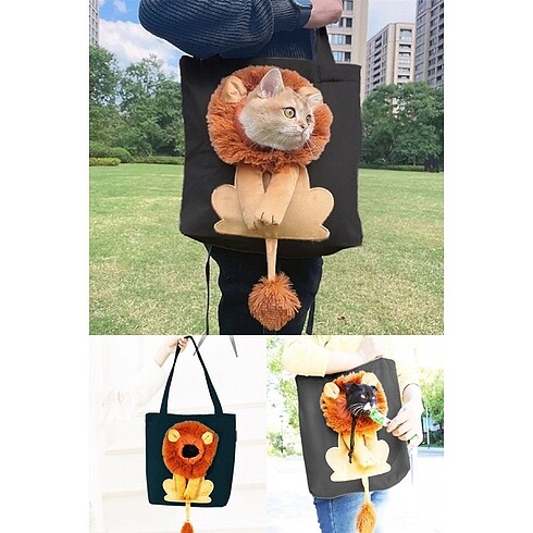 Kedi taşıma çantası