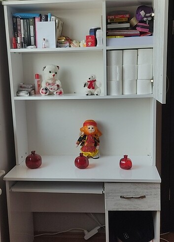 diğer Beden Bilgisayar masası 