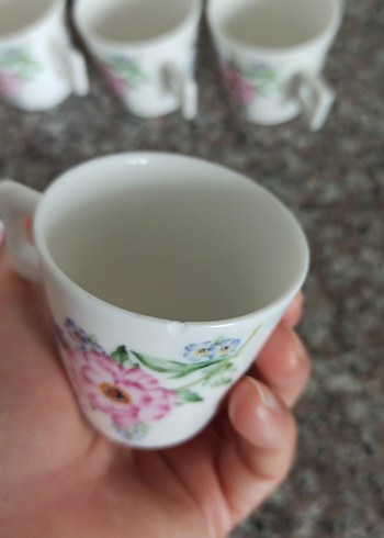 Pastel Çiçek Desenli Porselen Fincan Takımı - Görsel 5