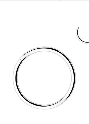 Çelik Kilitli Halka Piercing - Görsel 5