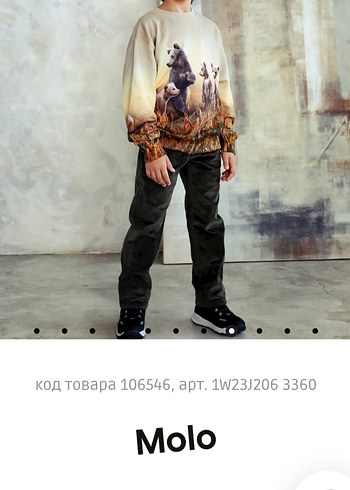 ERKEK ÇOCUK SWEATSHİRT (molo) - Görsel 9