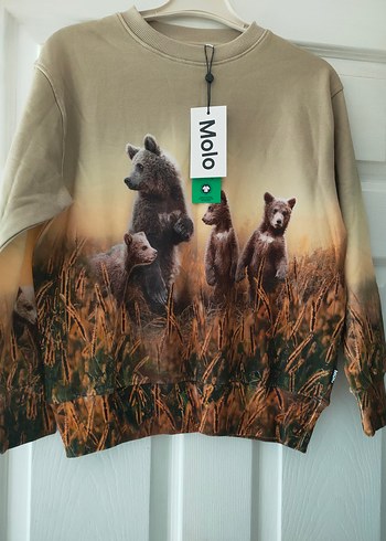 ERKEK ÇOCUK SWEATSHİRT (molo) - Görsel 6