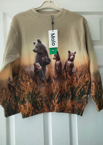 ERKEK ÇOCUK SWEATSHİRT (molo) - Görsel 2