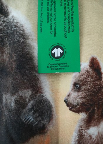 ERKEK ÇOCUK SWEATSHİRT (molo) - Görsel 8