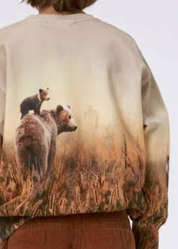 ERKEK ÇOCUK SWEATSHİRT (molo) - Görsel 4