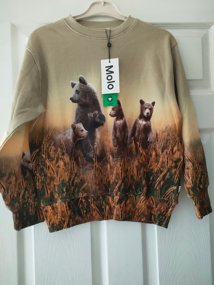 ERKEK ÇOCUK SWEATSHİRT (molo) - Görsel 2