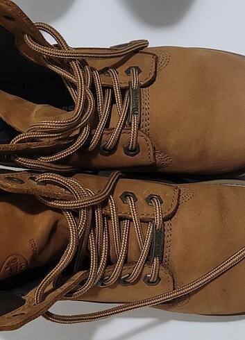 Dockers orjinal bot