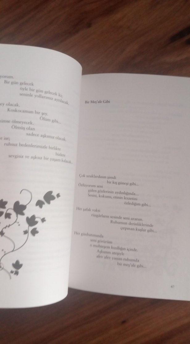 Sevgilerde Kalın - Şiir Kitabı - Görsel 3