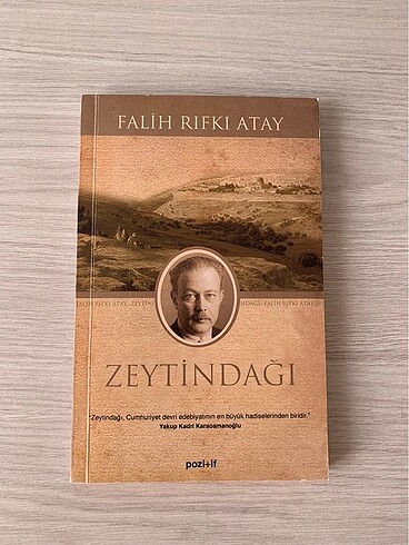 Zaytindağı roman