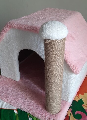 Kedi yuvası 