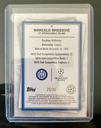  Özel İlan Panini Topps