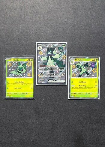 Sprigatito Evrimleri Promo Pokemon Kartları