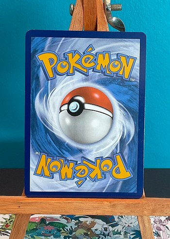  Salamance EX Pokemon Kartı