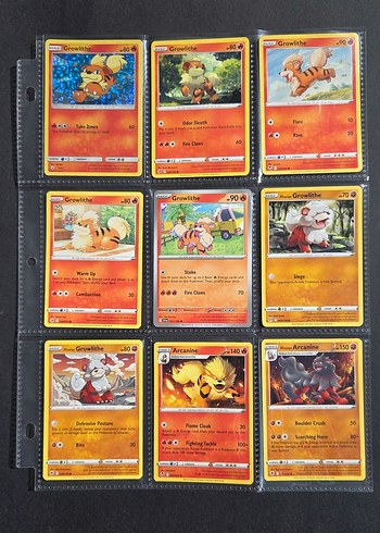 Arcanine/Growlithe Pokemon Kart Lotu
