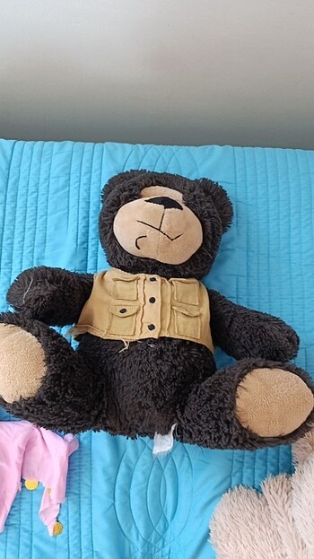 Peluş ayi