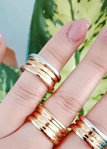 ÇELİK BULGARİ ALYANS