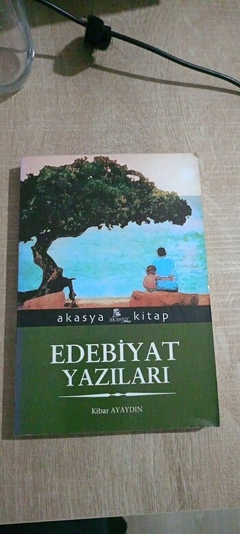 Kibar Ayaydın, Edebiyat Yazıları