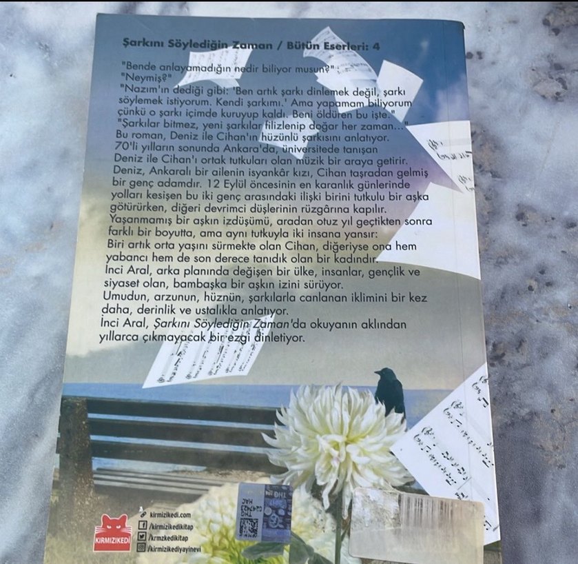 Şarkını Söylediğin Zaman - İnci Aral - Görsel 2