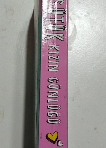 Üşütük Kızın Günlüğü - Yeni Bir Hayat - Görsel 3