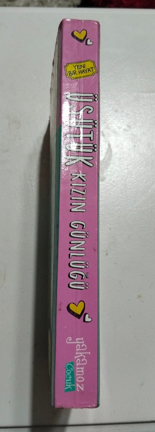 Üşütük Kızın Günlüğü - Yeni Bir Hayat - Görsel 3