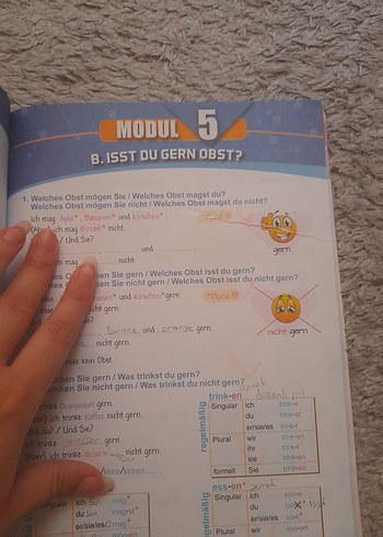 Beden DaF Maximal Tests A1.1 Kelime Egzersizli Almanca