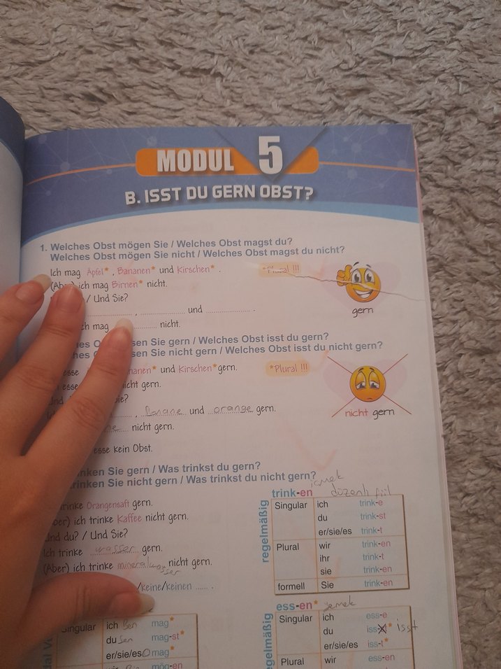 DaF Maximal Tests A1.1 Kelime Egzersizli
Almanca - Görsel 2