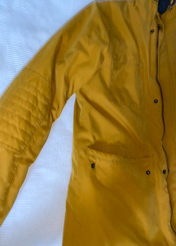 Sarı Fermuarlı Erkek Mont - Görsel 3