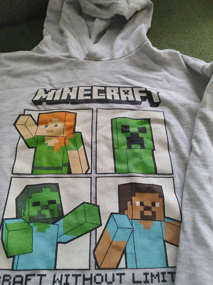 Minecraft Baskılı Erkek Çocuk Sweatshirt - Görsel 3