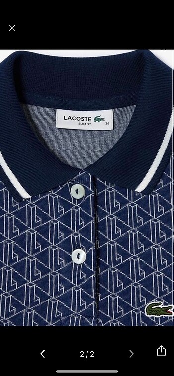 lacoste tshirt