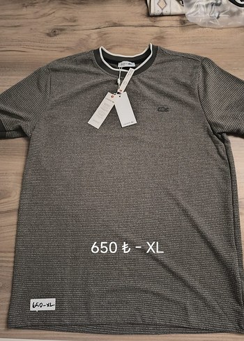 Lacoste Gri Kısa Kollu Baskılı Tişört
