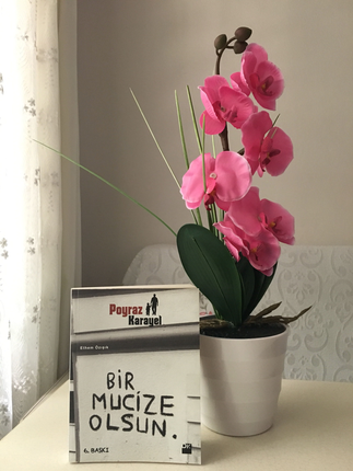Bir mucize olsun